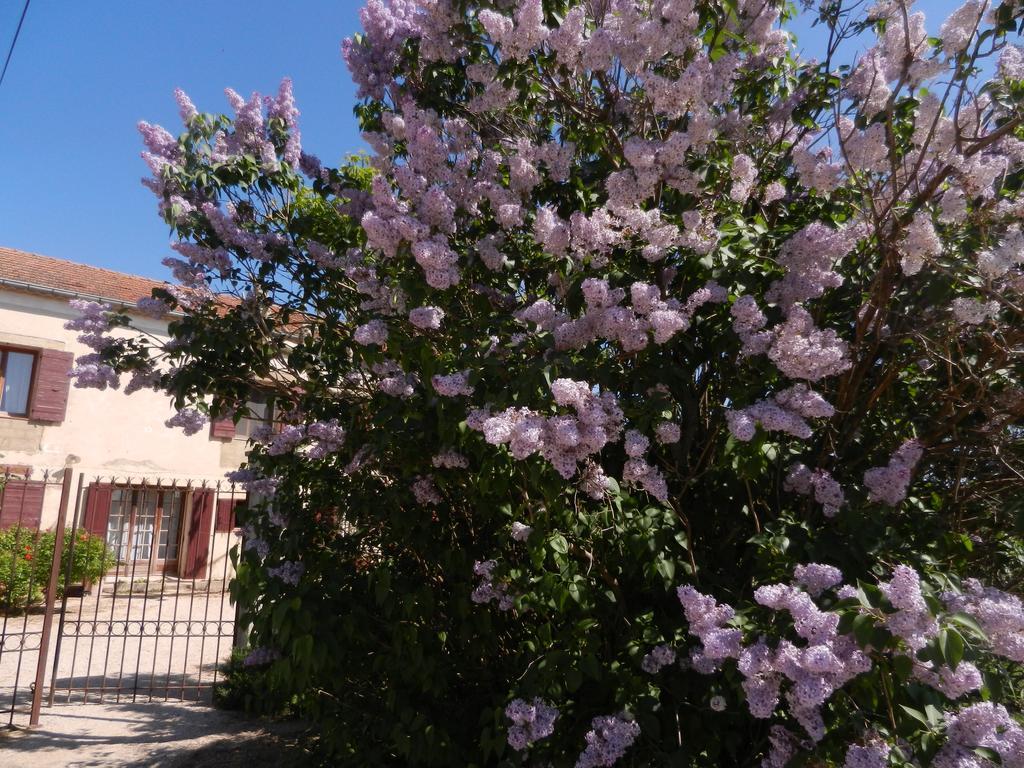 La Feniere Aux Hirondelles Bed & Breakfast Orange  Exterior foto